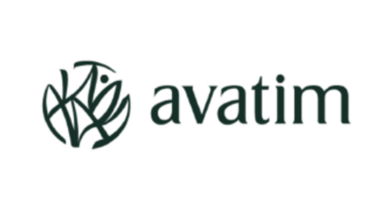 Avatim